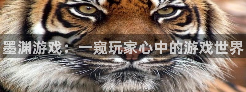 辉达娱乐注册测速：墨渊游戏：一窥玩家心中的游戏世界