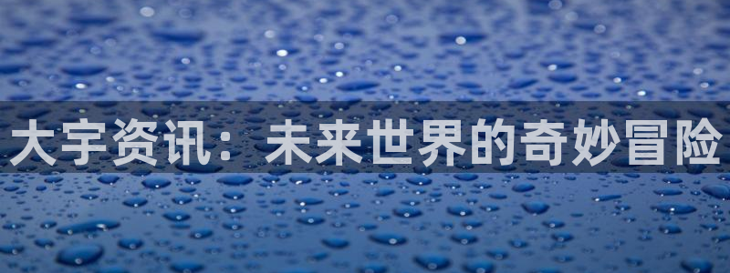 辉达娱乐是什么