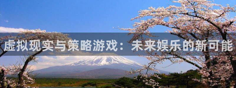 辉达娱乐咨询：虚拟现实与策略游戏：未来娱乐的新可能