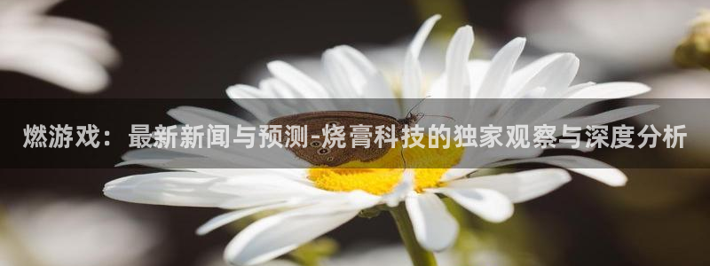手机辉达娱乐下载安装：燃游戏：最新新闻与预测-烧膏科技的独家
