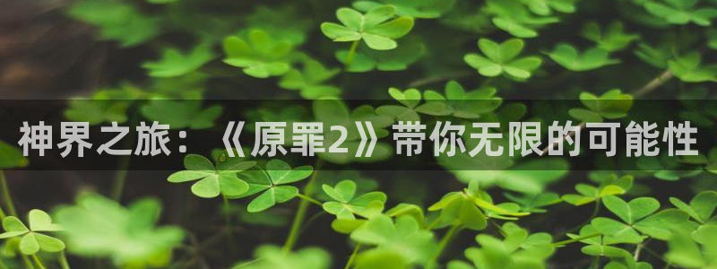 辉达娱乐怎么注册：神界之旅：《原罪2》带你无限的可能性