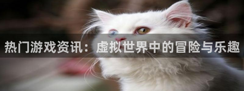 辉达娱乐登陆测速：热门游戏资讯：虚拟世界中的冒险与乐趣