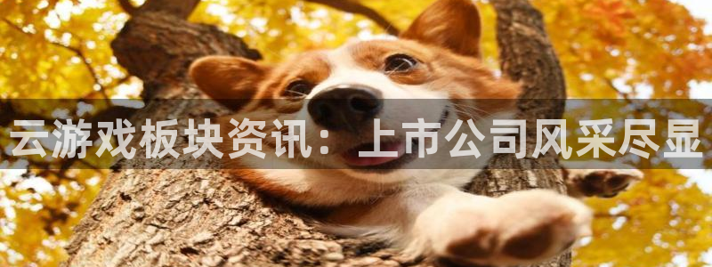 辉达娱乐平台官网注册：云游戏板块资讯：上市公司风采尽显