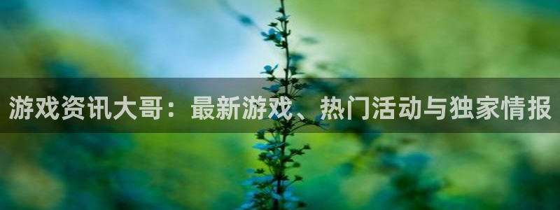 辉达娱乐网页登录入口：游戏资讯大哥：最新游戏、热门活动与独家
