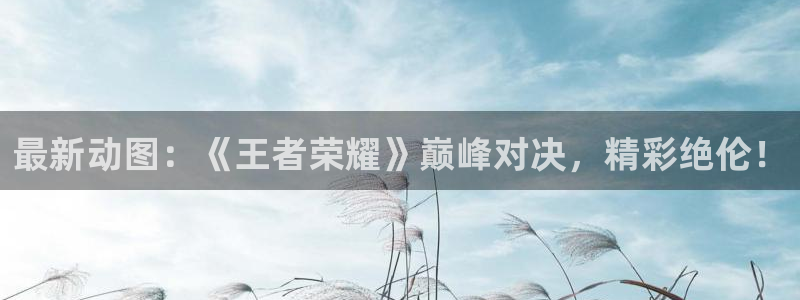 辉达娱乐官方注册登录：最新动图：《王者荣耀》巅峰对决，精彩绝