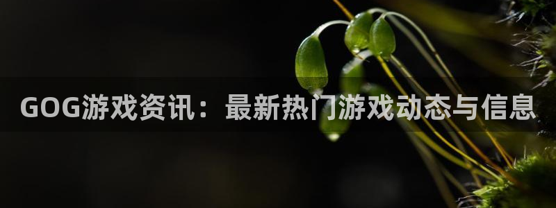 辉达娱乐升级5994月：GOG游戏资讯：最新热门游戏动态与信